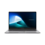 Ordinateur portable Asus ExpertBook P1 P1503CVA-NJ0991(90NX0881-M01320)